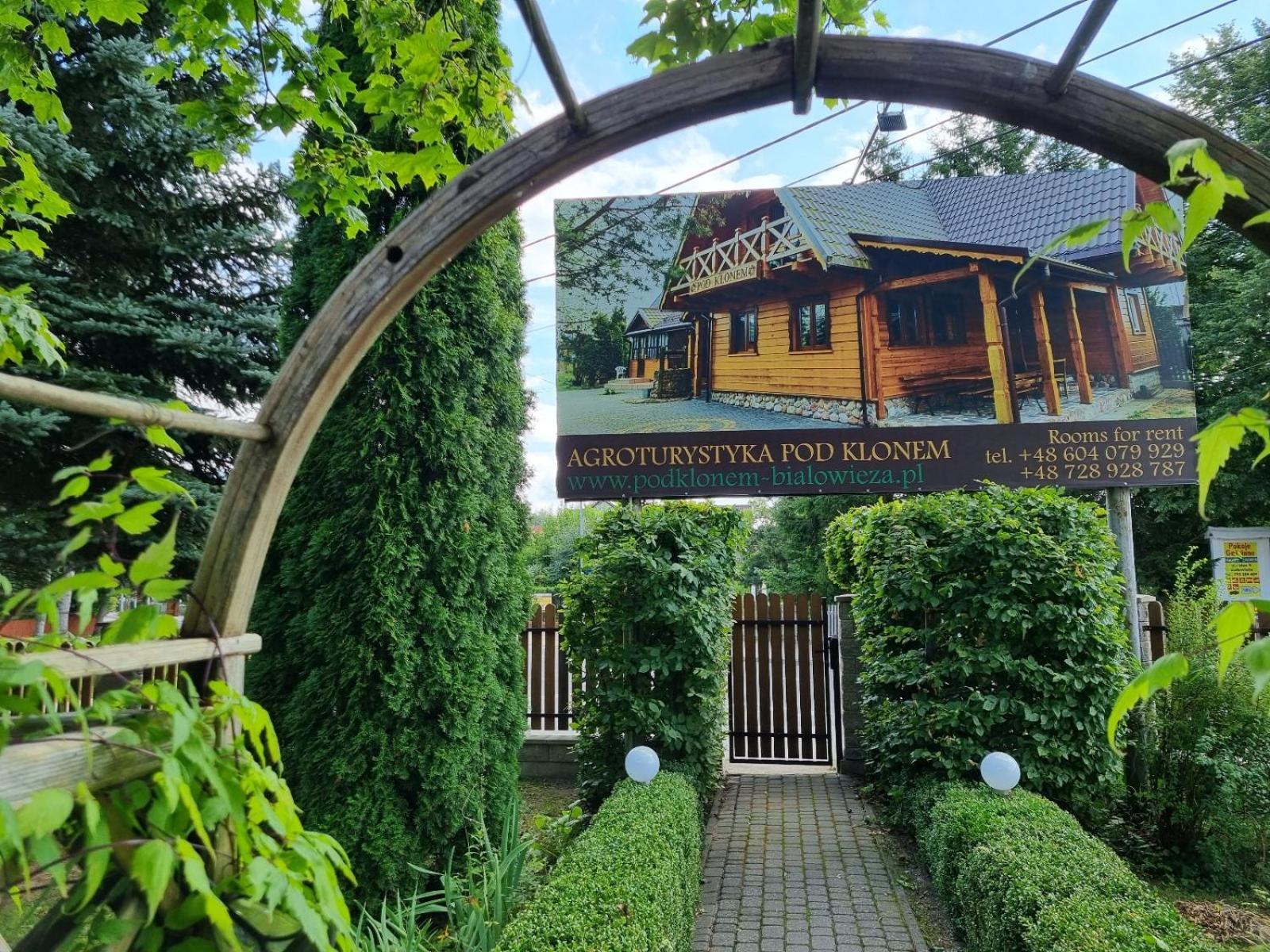 Domek Pod Klonem Agroturystyka Bialowieza Exterior photo
